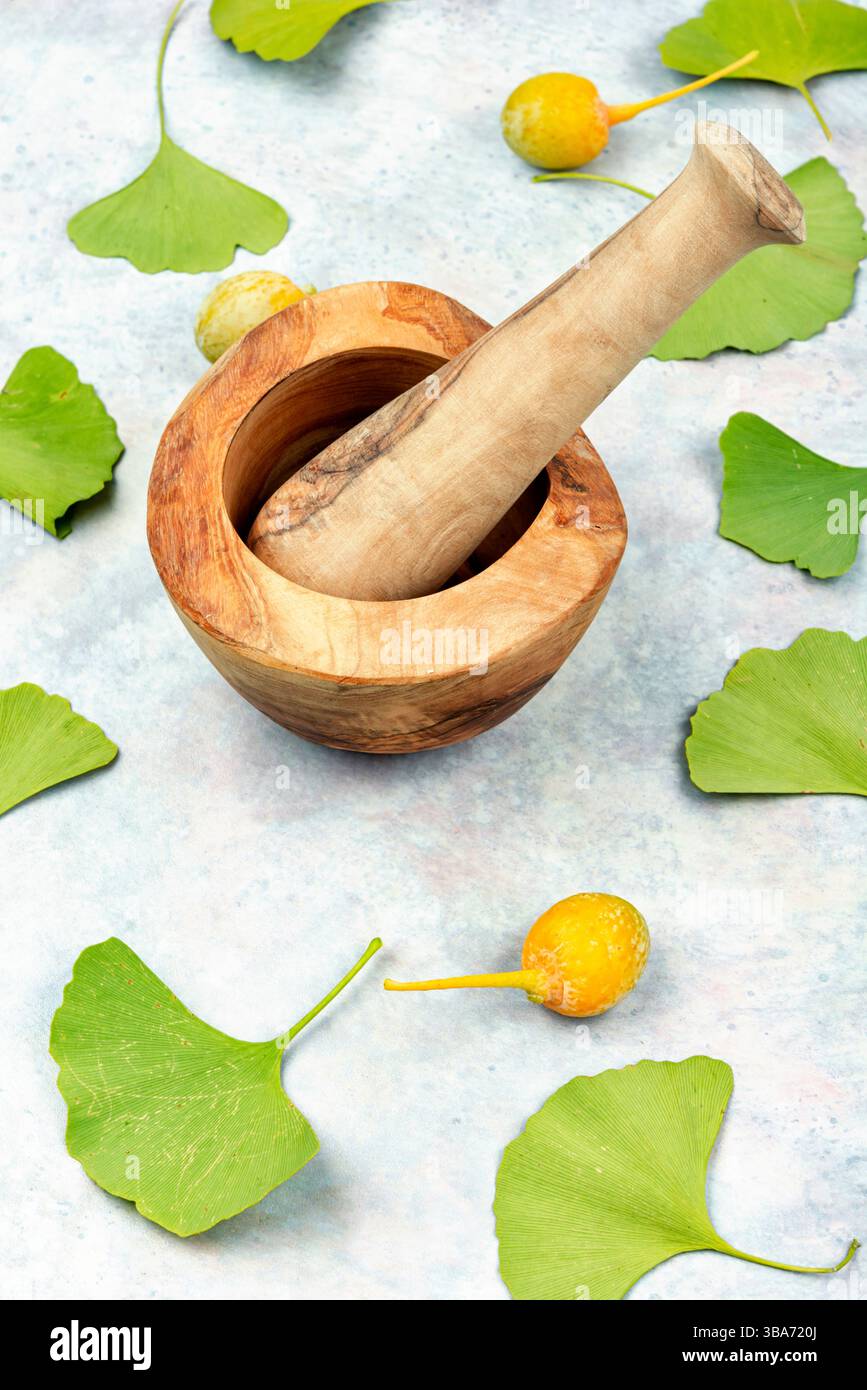 chinesische heilpflanze