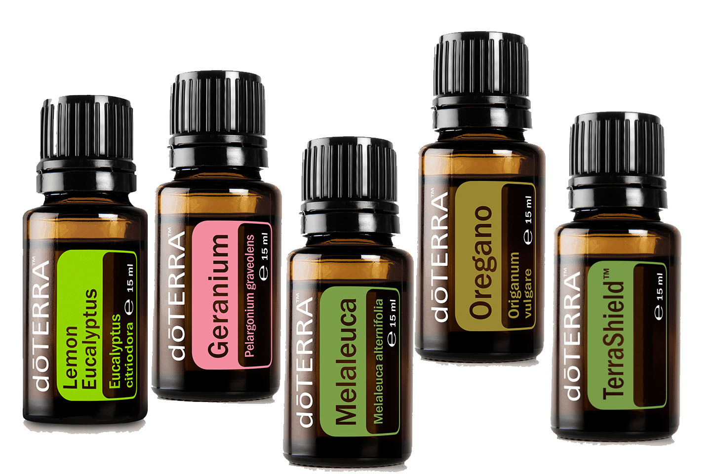 ätherische öle gegen zecken bei hunden