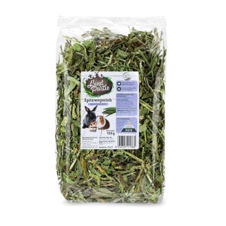 getrockneter spitzwegerich