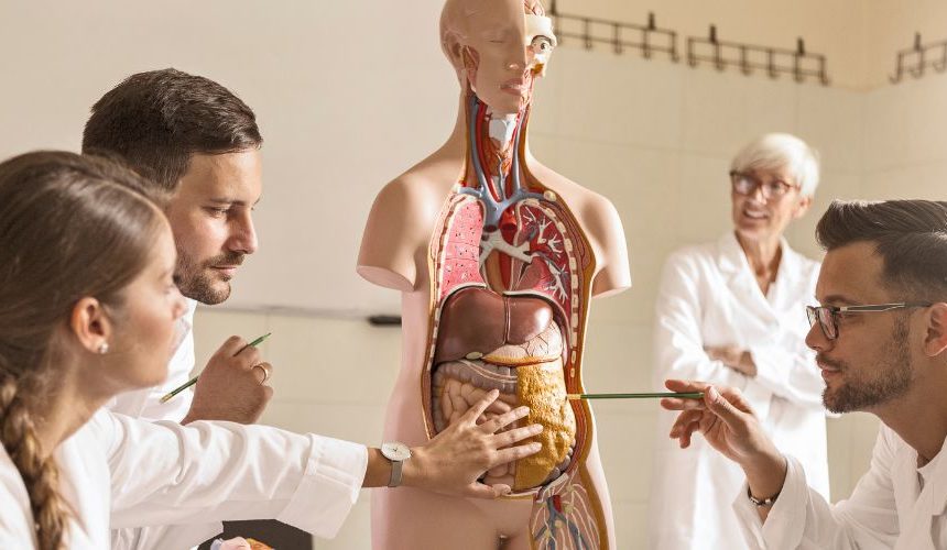 naturheilkunde praxis