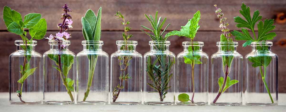 zusatzbezeichnung naturheilverfahren