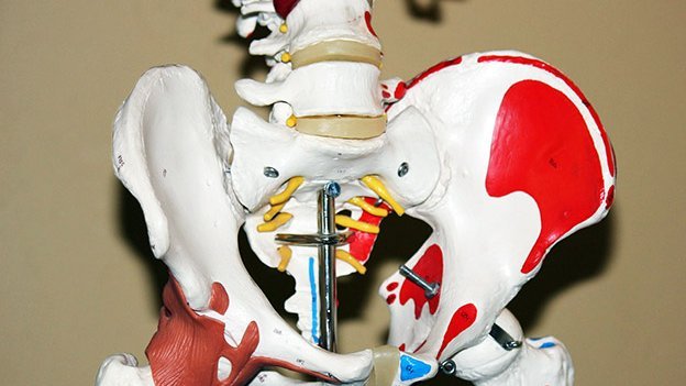 naturheilkunde osteoporose