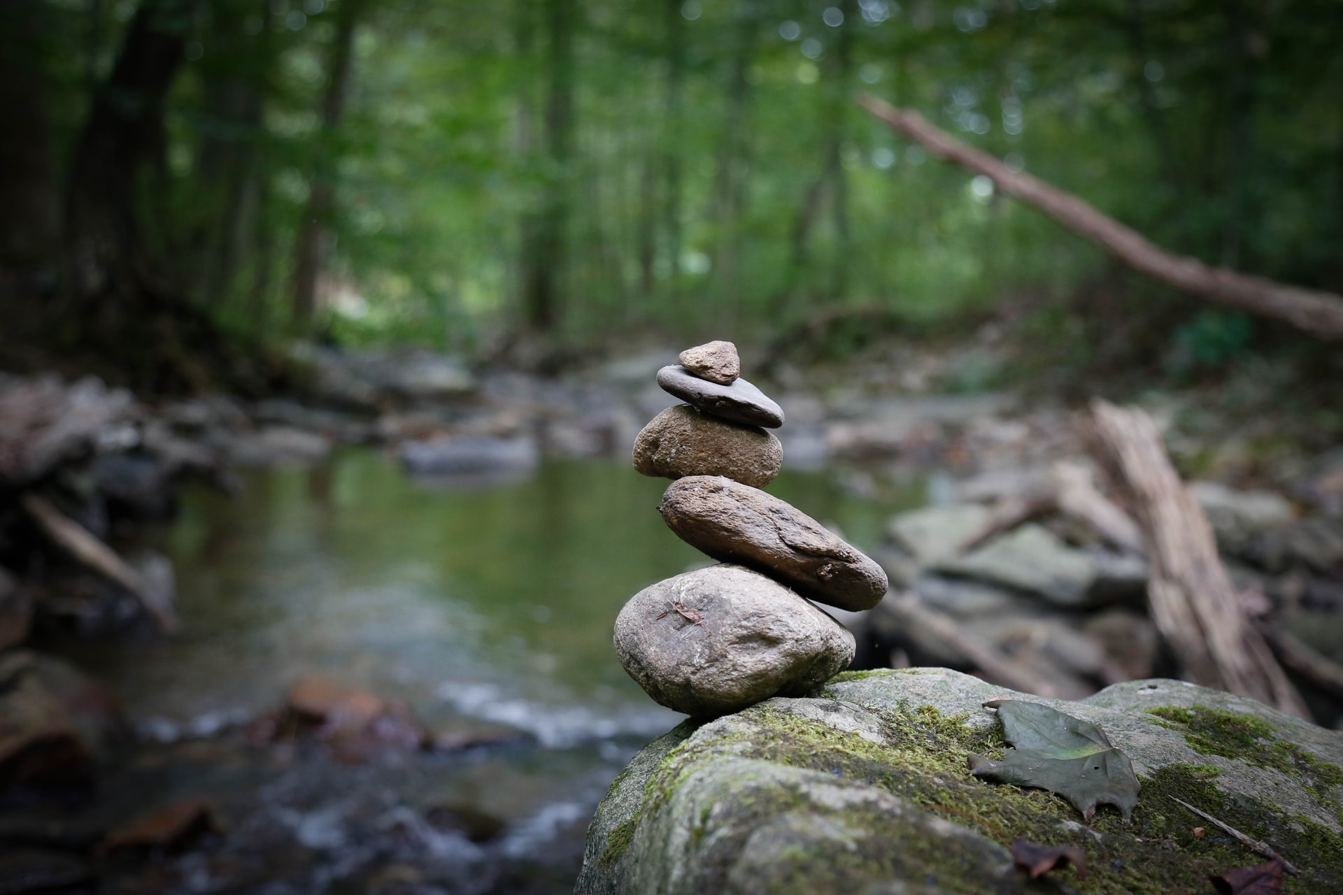ernährungsberatung endometriose