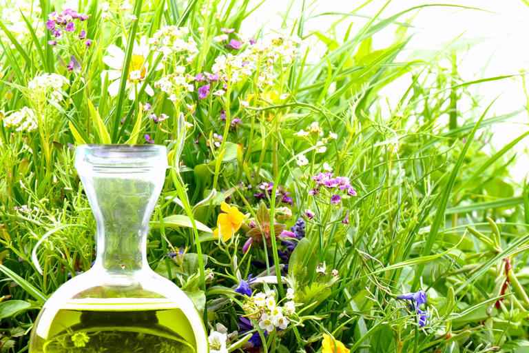 erysipel therapie naturheilkunde