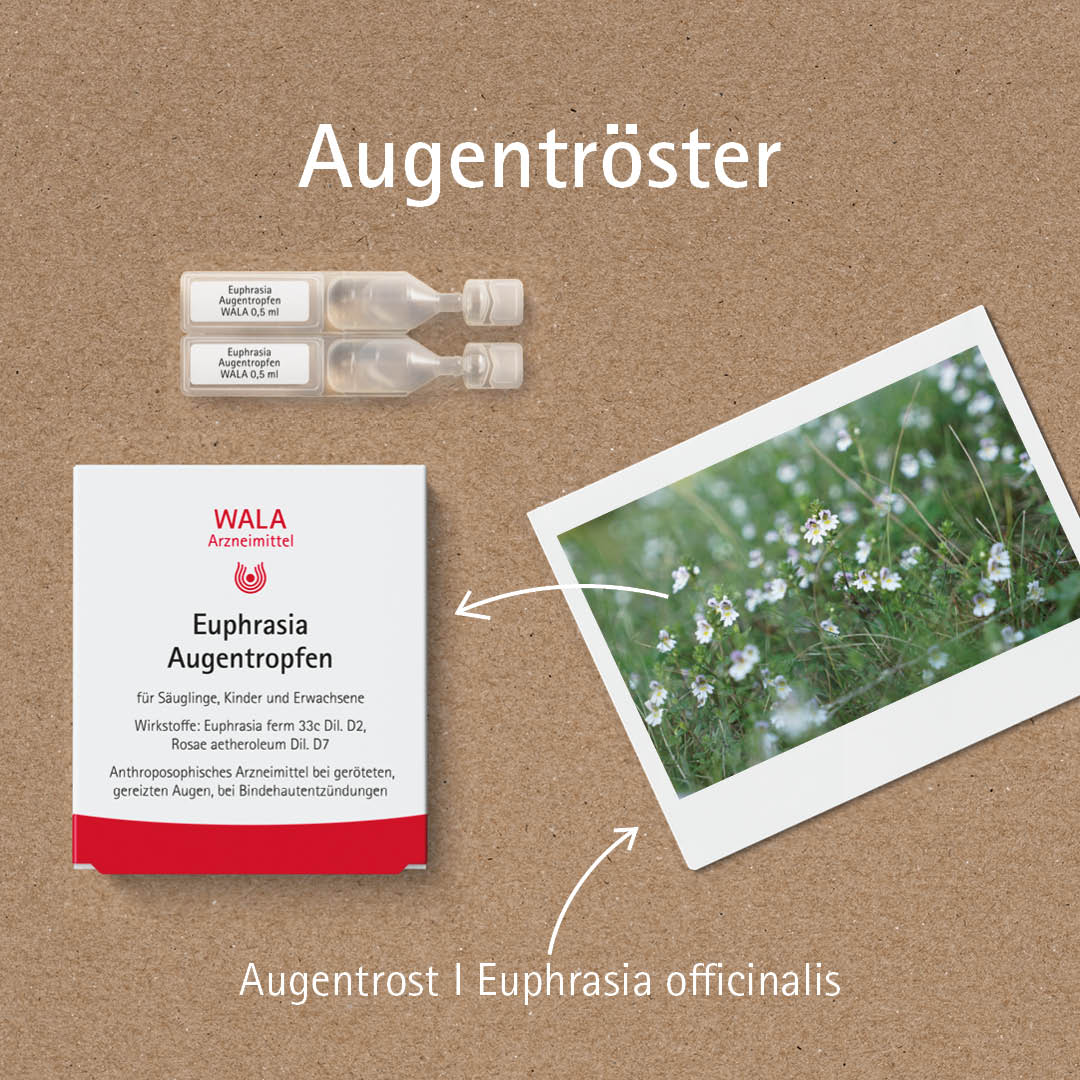 augentrost nebenwirkungen