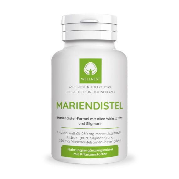 mariendistel gallensteine